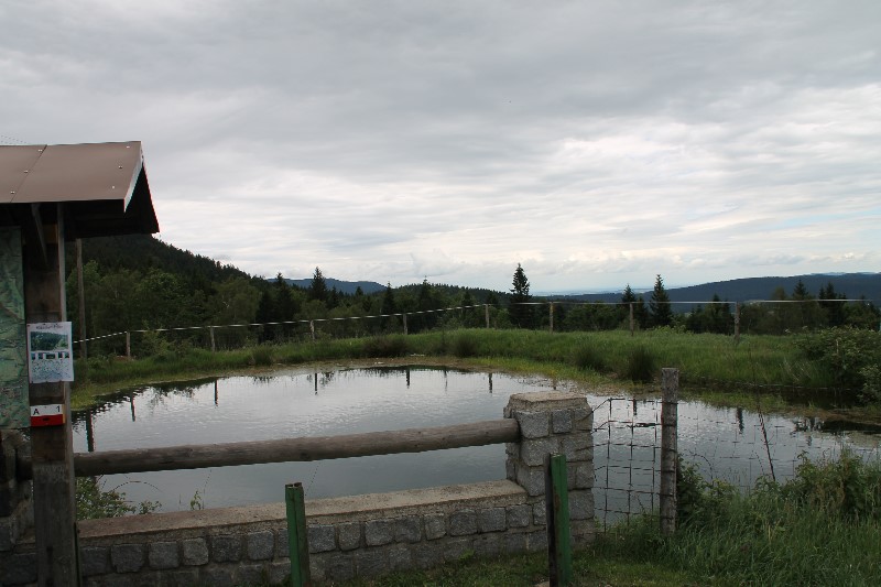 ../Images/2012.06.07-10 MSC-Ausfahrt (21).jpg